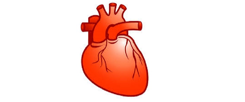Kalp Krizinden Nasıl Korunabilirim?